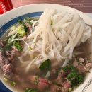 국수59 | 이탈리아 로마 여행 테르미니역 근처 맛집 포 비엣 Pho Viet 소고기쌀국수 간단 후기