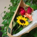 보윤약국 이미지