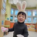 12월1주 바닥 그림책을 보며 걸어요/깡총 깡총 토끼🐰 /❄️겨울 나무를 꾸며요 이미지