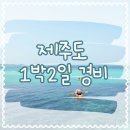 귤낭게스트하우스 | [제주도 1박2일 여행경비(비용)] 1인기준 비용 정리