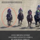 거창목장 이미지