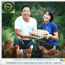 무항생제 자유방목 동물복지 유정란 50% 맛보기 이벤트 이미지