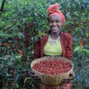 산업커피 이미지