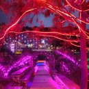 숲속애애플트리 이미지