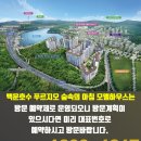 백운산숲속의아침 이미지
