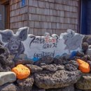 협재관광지 이미지