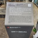 면사무소옆 이미지