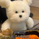 요로시 이미지