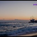 에스케이렌터카 강릉 이미지