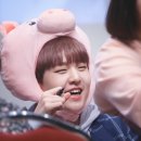도현