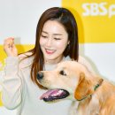 댕댕CLUB 이미지