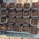 하늘꿈이자라는집지역아동센터 | 서울시교육청산하 융합과학 교육원,생태학습자료 지원팀 작은재능기부로 사람이 행복하다.