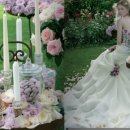 에이메드 이미지