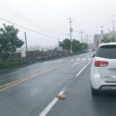 해저게임랜드 Daum카페