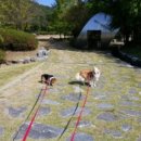 리드커뮤니케이션 이미지