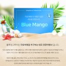 블루망고투어 이미지