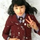 신진메디텍 Daum카페
