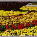 평화공원내 이미지