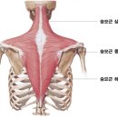 엘제이메디컬트레이닝 이미지