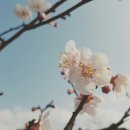 별똥별 채집소 이미지