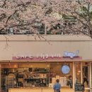 카페미뇽 - 중구 남대문로 68 | 카페미뇽
