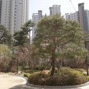 한가람조경