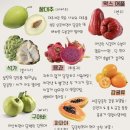 서남문 | 고양 화성시 대만 레츠고, 대만 대만족!