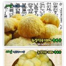 하산농산