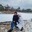 종로-연건-종로-연-161 | 청와대 개방 예약 방법, 관람 시간, 주차 요금 경북궁과 함께 구정연휴 가볼만한곳