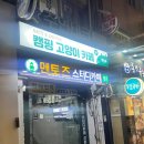 [선릉 고양이 카페] 데이트 장소로 좋은 캠핑 고양이 추천