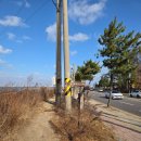 대통횟집 | 안산 가볼만한곳 방아머리 해변 카이트서핑 본 후기
