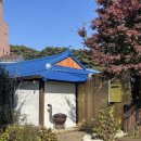 토박이민박 | 여행] 친구들과 힐링 1박2일 여행 (with 내돈내산 5인 숙소추천, 반려동물 가능, 서현스테이, 서현민박)