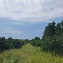 준이농장 이미지