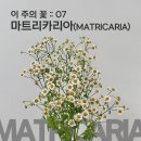 평내로167 이미지