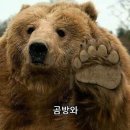 여인생활사박물관 | 두 번째 발자국. 노원구