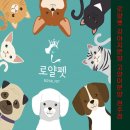로얄펫 강아지분양 고양이분양 전주점 이미지