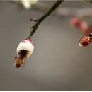 경남일보/황재원/ 죄와 벌 이미지