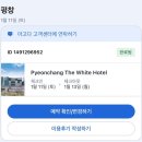 더화이트호텔 | [평창]휘닉스파크에서 가까운 ⭐️평창 더 화이트호텔⭐️ 숙박 후기