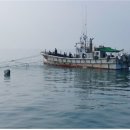 연평해양경찰서 이미지