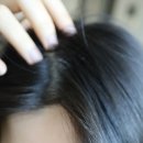 두피 에센스 영양제 에센스 리필드 사이토카인 헤어토닉