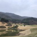 와보라 | [부산 골프장 리뷰] 벚꽃 만발한 보라CC, '투투그녀'와 함께한 텐션 폭발 조인 라운딩 후기!