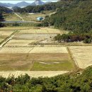 구불7길(신시도길) 이미지