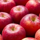 대둔산농장 이미지