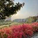 향동두리이비인후과의원 이미지