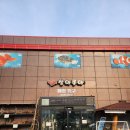 비파농장 | 국내 최대 규모 오프라인 매장 상 아쿠아 방문 후기