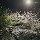 다대성당 앞 이미지