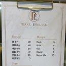 펄아이래쉬