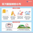 밝은