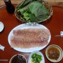 동궁가물치