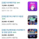 뉴스 미디어 세상 | 강릉 실내 관광지 추천 | 강릉 가볼 만한 곳 아르떼뮤지엄 강릉 달토끼 특별전 후기